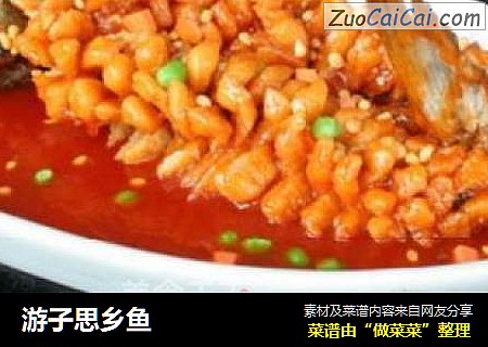 游子思乡鱼