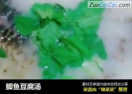 鲫鱼豆腐汤