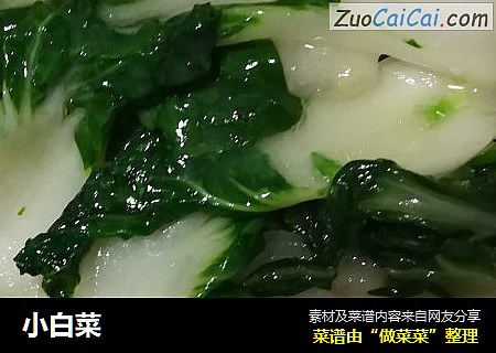 小白菜