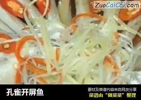 孔雀开屏鱼