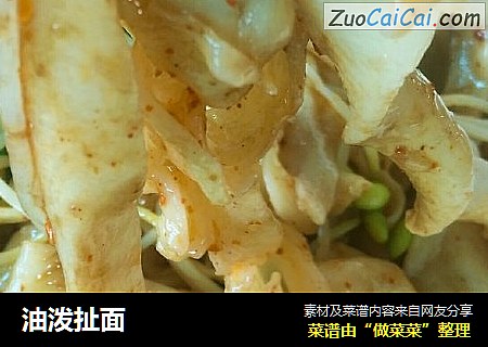 油泼扯面