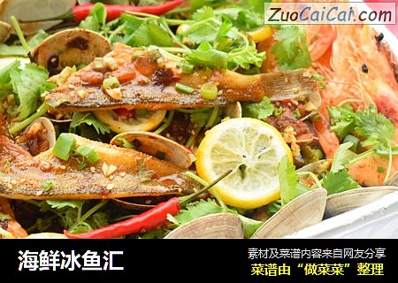 海鲜冰鱼汇