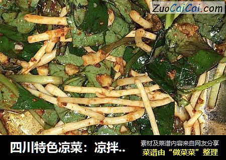 四川特色凉菜：凉拌折耳根