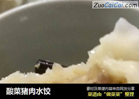 酸菜猪肉水饺