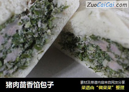 猪肉茴香馅包子