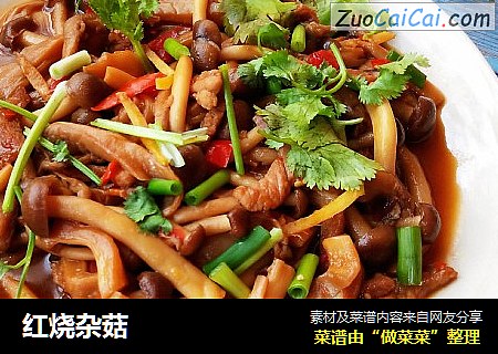 红烧杂菇