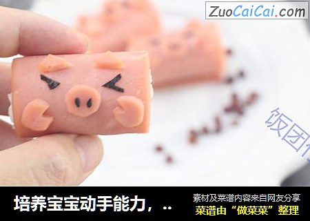 培养宝宝动手能力，玩转小猪饭团