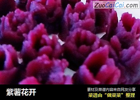 紫薯花开
