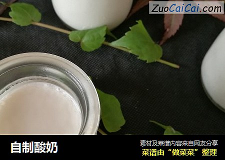 自制酸奶