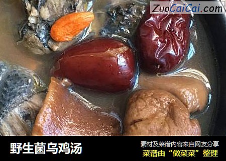 野生菌乌鸡汤
