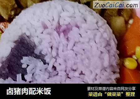 卤猪肉配米饭