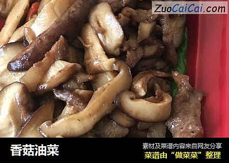 香菇油菜