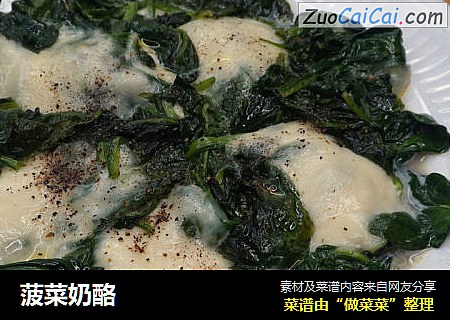 菠菜奶酪