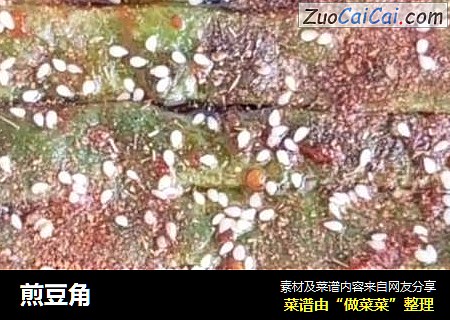 煎豆角