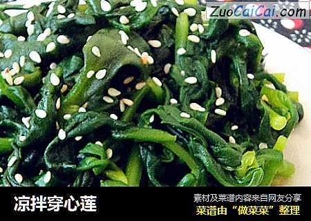 凉拌穿心莲