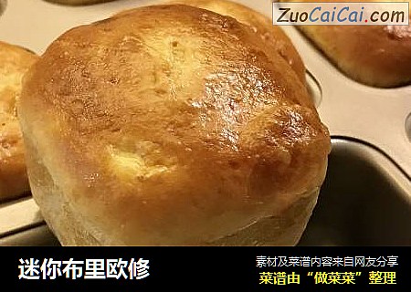 迷你布里欧修