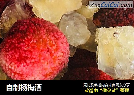 自制杨梅酒