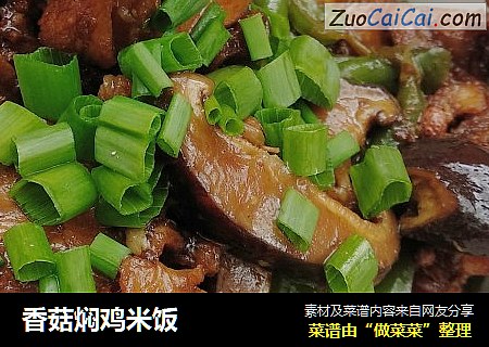 香菇焖鸡米饭