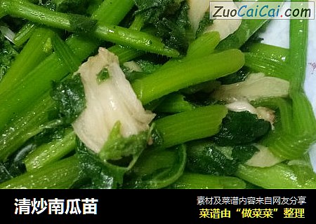 清炒南瓜苗