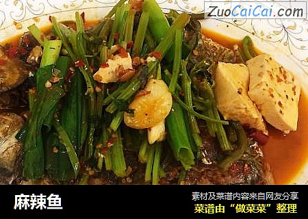 麻辣鱼