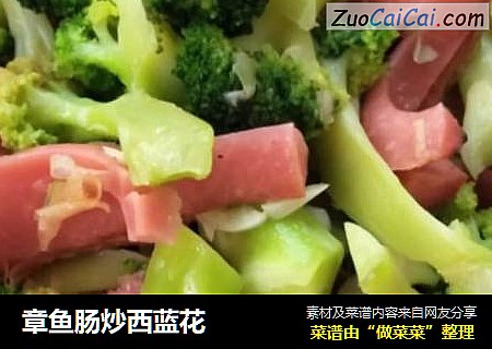 章鱼肠炒西蓝花