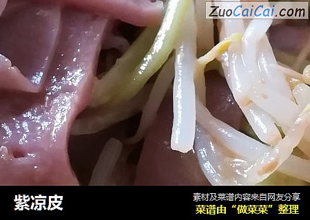 紫凉皮