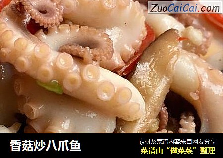 香菇炒八爪鱼
