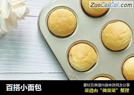 百搭小面包