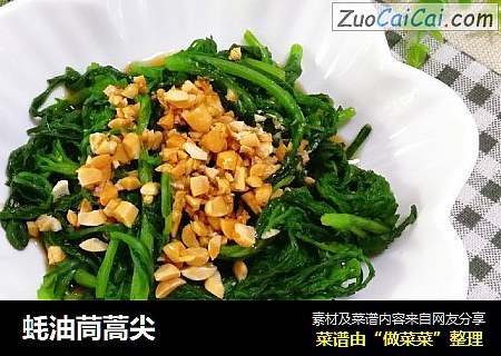 蚝油茼蒿尖