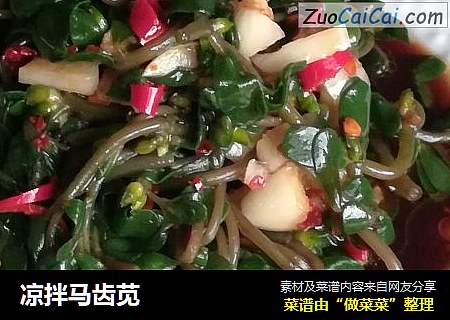 凉拌马齿苋