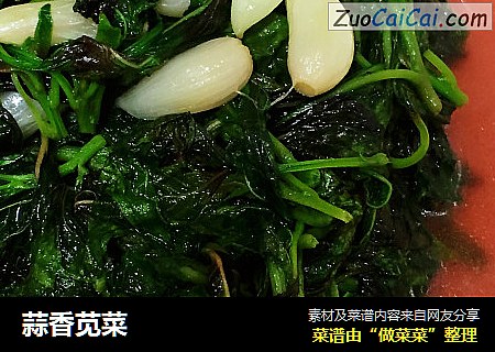 蒜香苋菜