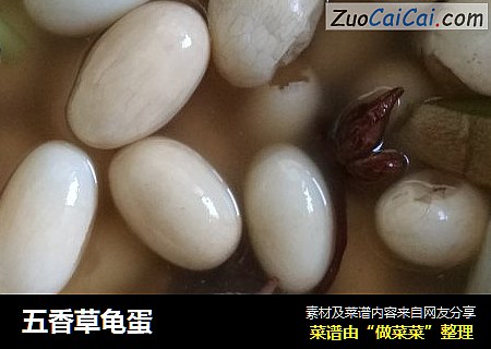五香草龟蛋