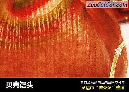 贝壳馒头