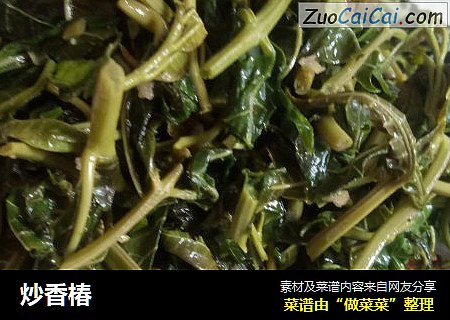 炒香椿