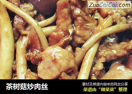 茶树菇炒肉丝