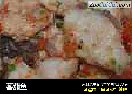 蕃茄鱼