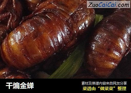 干煸金蝉