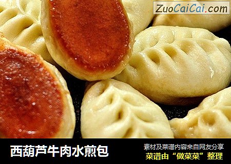 西葫芦牛肉水煎包