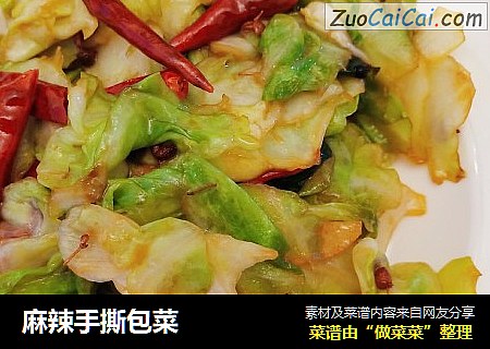 麻辣手撕包菜