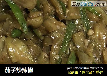 茄子炒辣椒
