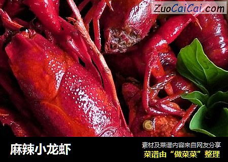 麻辣小龙虾