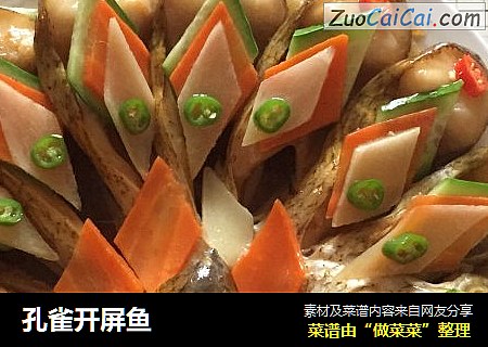 孔雀开屏鱼