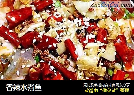 香辣水煮鱼
