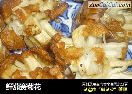 鲜茄赛菊花