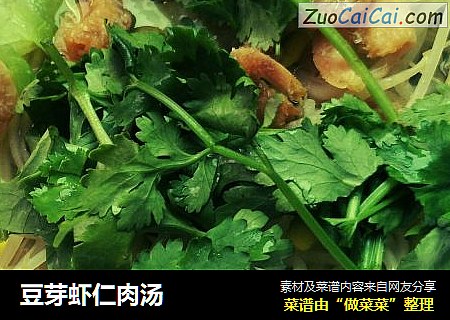 豆芽虾仁肉汤