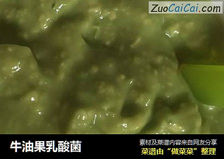 牛油果乳酸菌