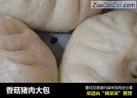 香菇猪肉大包