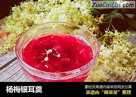 杨梅银耳羹
