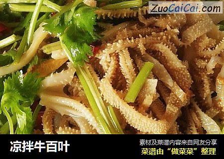 凉拌牛百叶