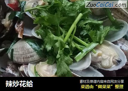 辣炒花蛤